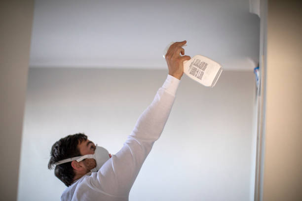 Best Mold Removal Specialists  in Taft Heights, CA