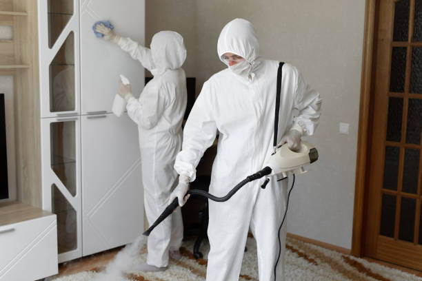 Certified Mold Removal in Taft Heights, CA