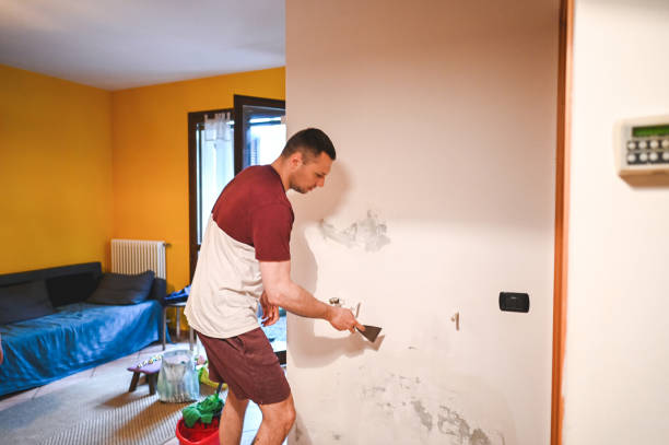 Best Same-Day Mold Removal  in Taft Heights, CA